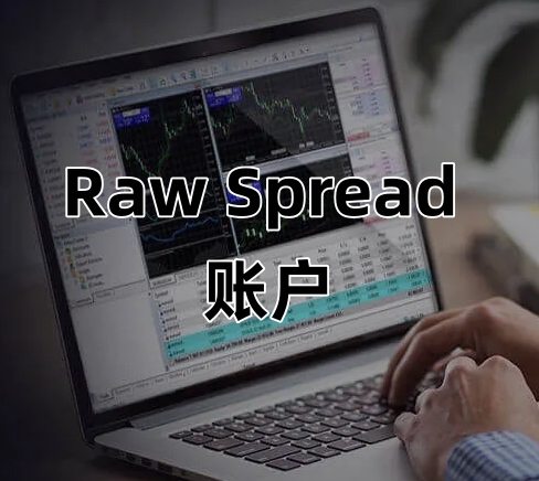 IC Markets Global：Raw Spread 账户