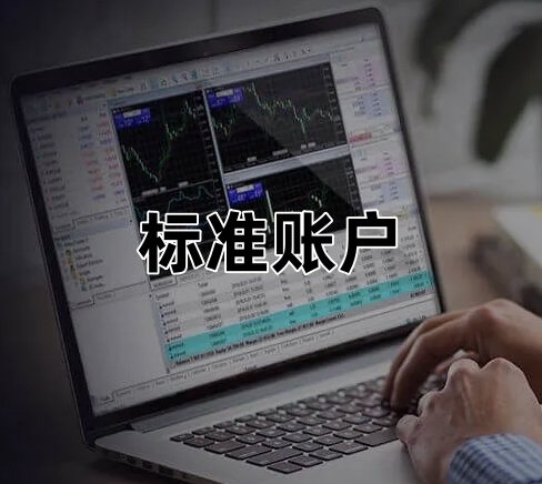 IC Markets Global：标准账户